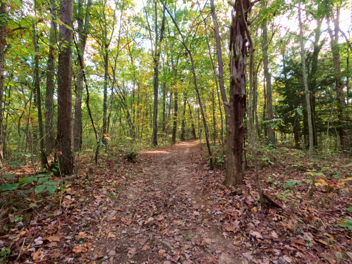 Rock House one-way trail loop system.