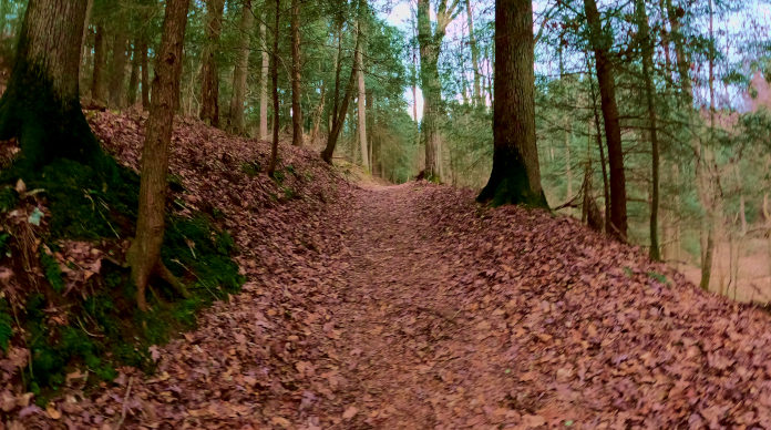 Fern Creek Trail - The Hocking Hills in Southern Ohio.