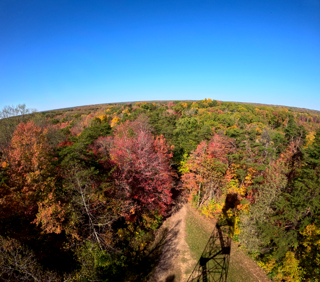 Hocking Hills Fall Colors: Lake Hope Olds Hollow Trail  in southeastern Ohio