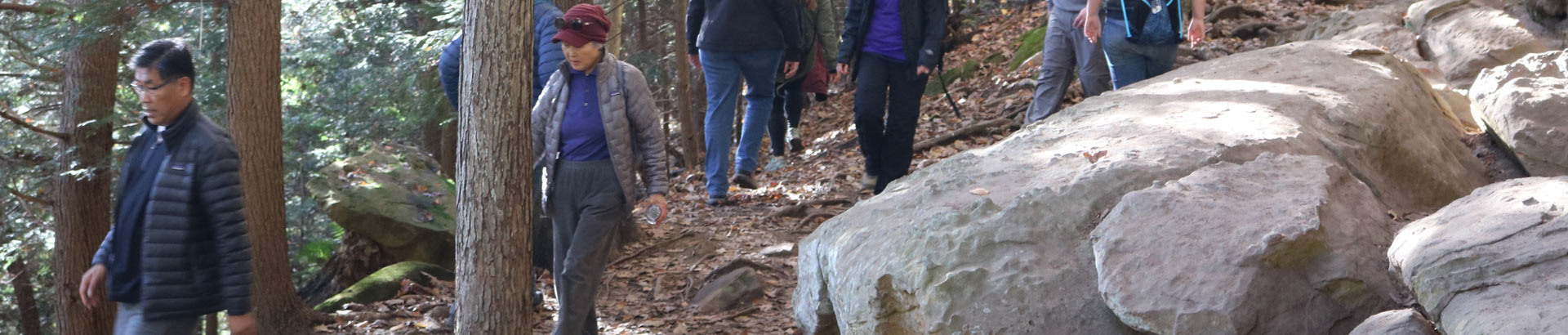 Hike Whispering Falls.