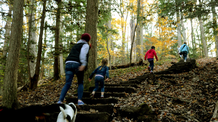 Hiking Cantwell Cliffs - One-way Loop Trail.