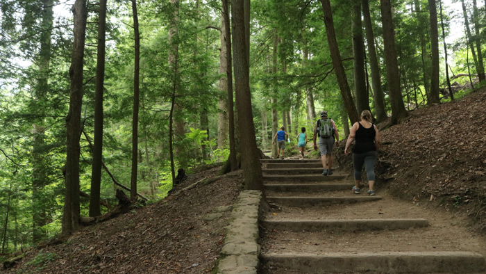 Cedar Falls - The Steps - Hocking Hills State Park in Southern Ohio.