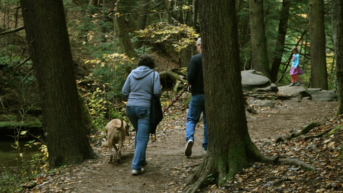 One Way Loop Trail at Cedar Falls.