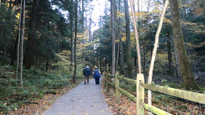 Conkle's Hollow State Nature Preserve - Lower Trail.