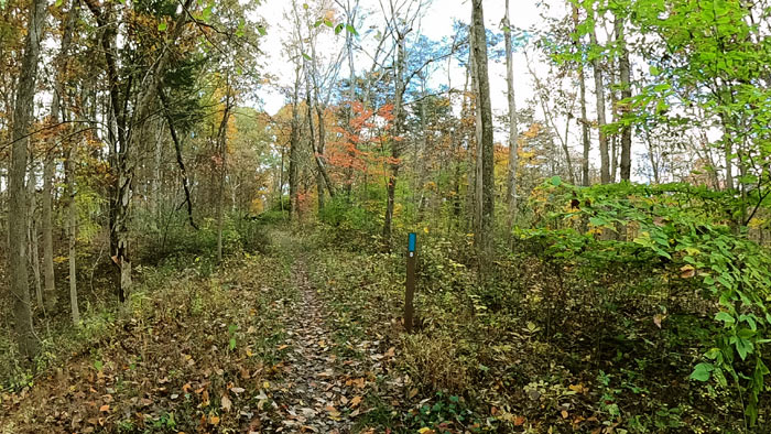 Hocking Hills Mountain Bike Trail- Orange Trail.