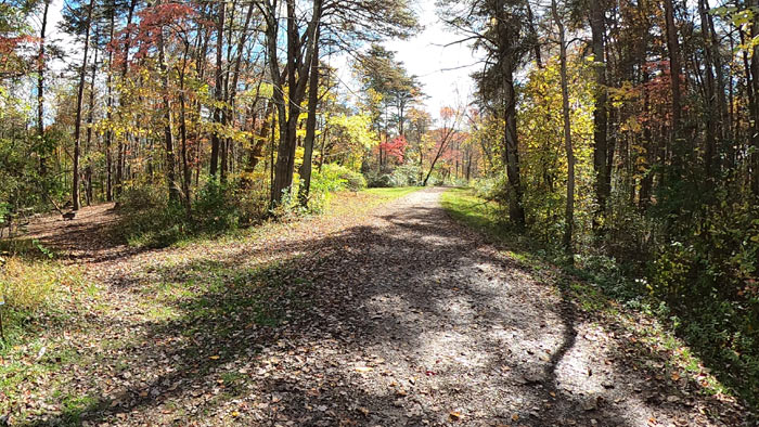 Primitive camping area where one bike trail begins.