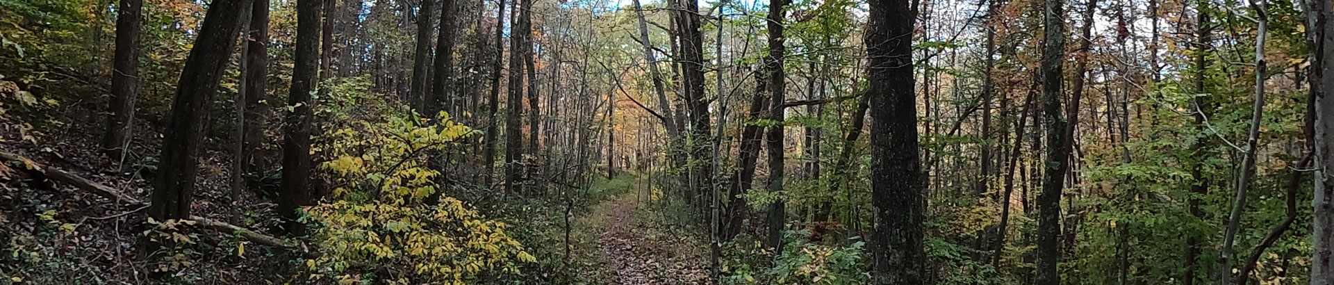 Mountaing Biking - Trail - Hocking Hills State Park