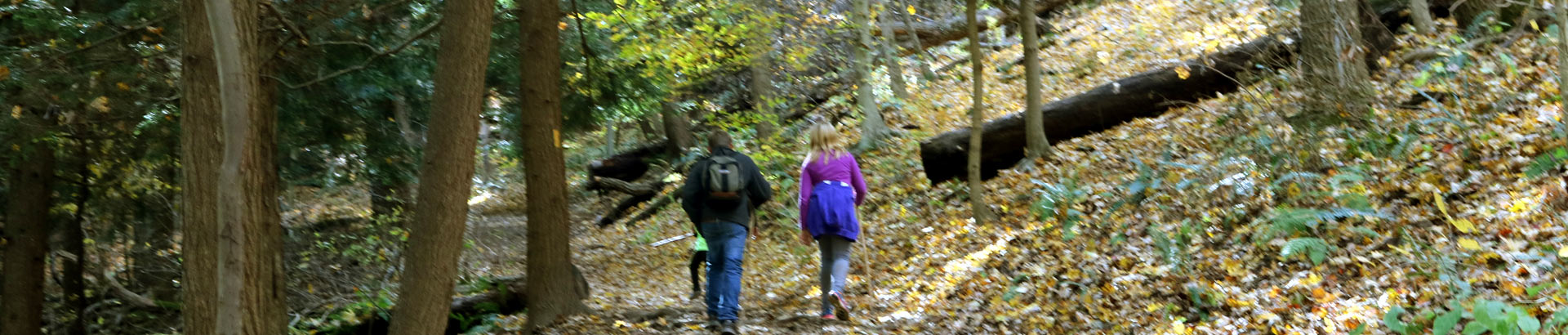 Trails around Rock House - one way, looped trail.