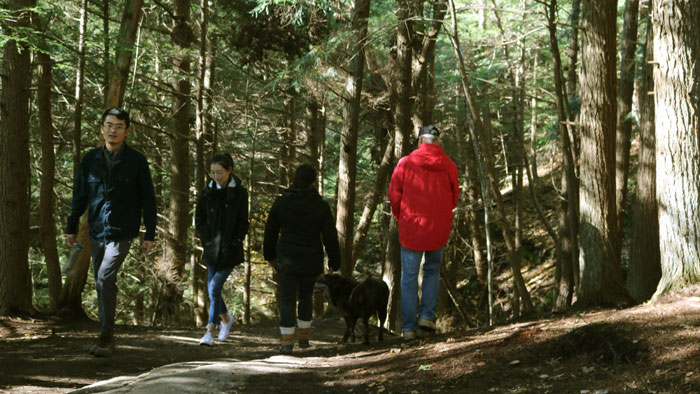 Trail at Whispering Cave  - 1-way loop trail.