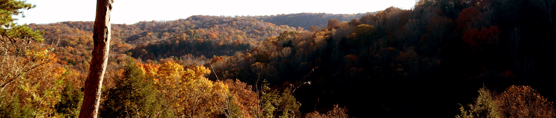 Conkle's Hollow in autumn - Upper Trail.