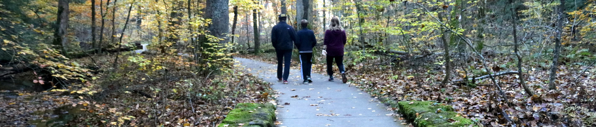 Conkle's Hollow Lower Trail