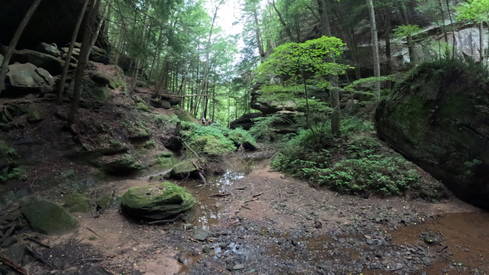 Sphinx Head: Within the Gorge of Old Man's Cave. Whispering Cave Hiking Trail: Hocking Hills State Park in "The Hocking Hills" 