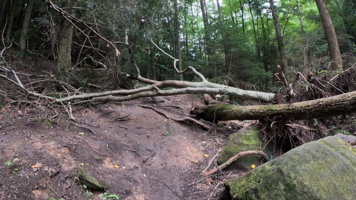 Trail at Whispering Cave  - 1-way loop trail.