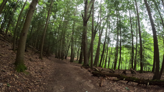 Purple Blazes on Trail to Whispering Cave.Whispering Cave Hiking Trail: Hocking Hills State Park in "The Hocking Hills" 