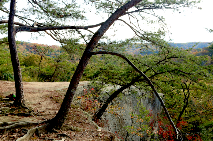 Hocking Hills Hiking Trails: Ash Cave to Cedar Falls